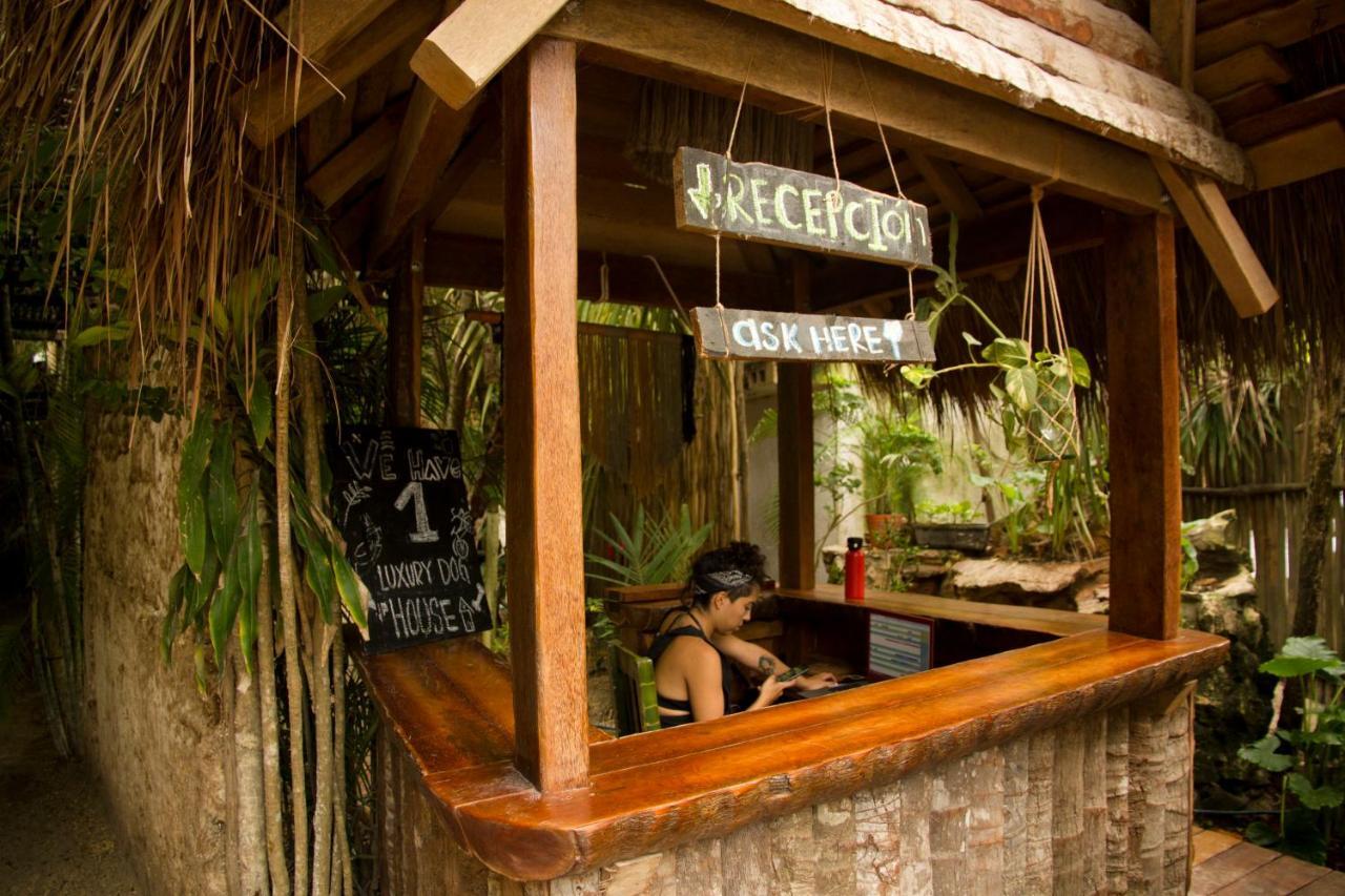 Cabanas La Eufemia トゥルム エクステリア 写真